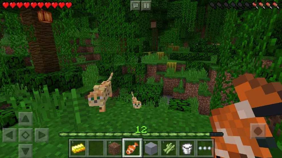 minecraft 1.21国际版